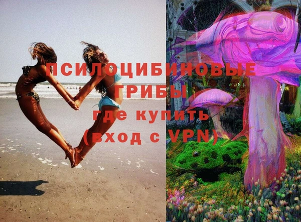мескалин Верхний Тагил