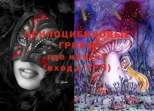 ешки Верея